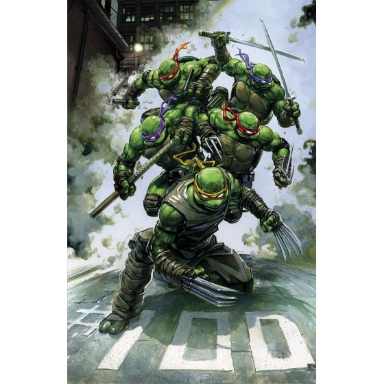 TEENAGE MUTANT NINJA 100B METALIZADO